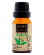 Arganou-Eucalyptus-Essential-Oil-100-Pure-15ml