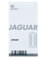 Jaguar R1 knivblad (8094) 10 stk 