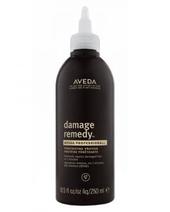 Aveda Damage Remedy Penetrating Protein